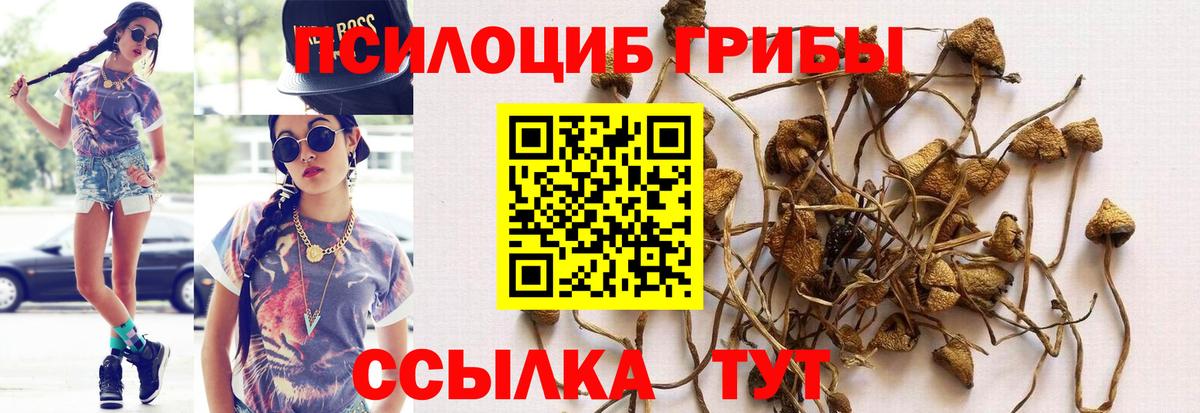 Жуковский  Галлюциногенные грибы MAGIC MUSHROOMS  Псилоцибиновые грибы мухоморы  Вход с VPN 
